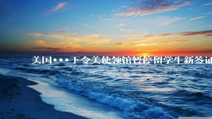 美国***下令美使领馆暂停留学生新签证面谈，将带来哪些影响？美国大学在全球人才竞争中还有优势吗？